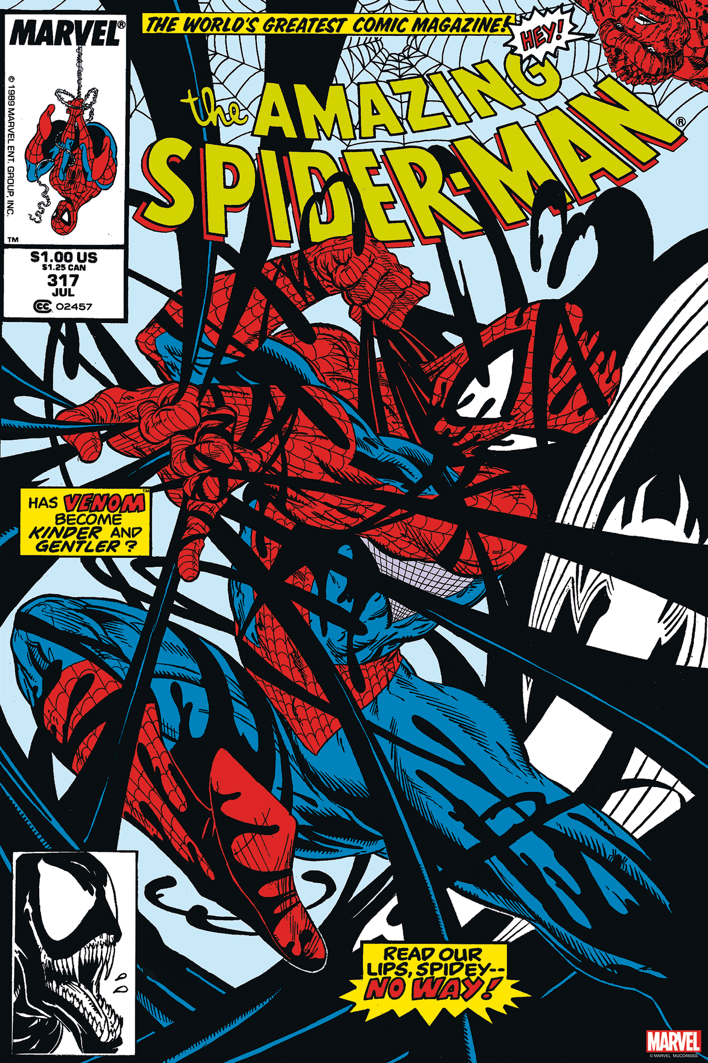 Todd McFarlane "The Amazing Spider-Man #317"