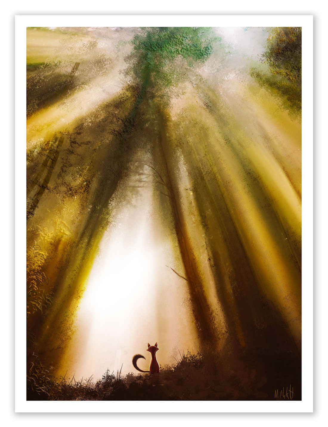 Mark Chilcott "Webster Fox Series - Part VI" SET