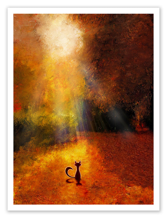 Mark Chilcott "Webster Fox Series - Part VI" SET