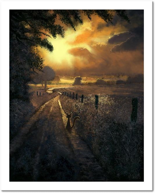 Mark Chilcott "Webster Fox Series - Part IV" SET