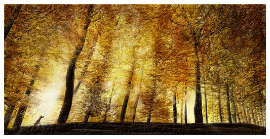 Mark Chilcott "Webster Fox #8"