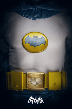BATMAN: THE CRUSADER COLLECTION by Adam Spizak - On Sale INFO!