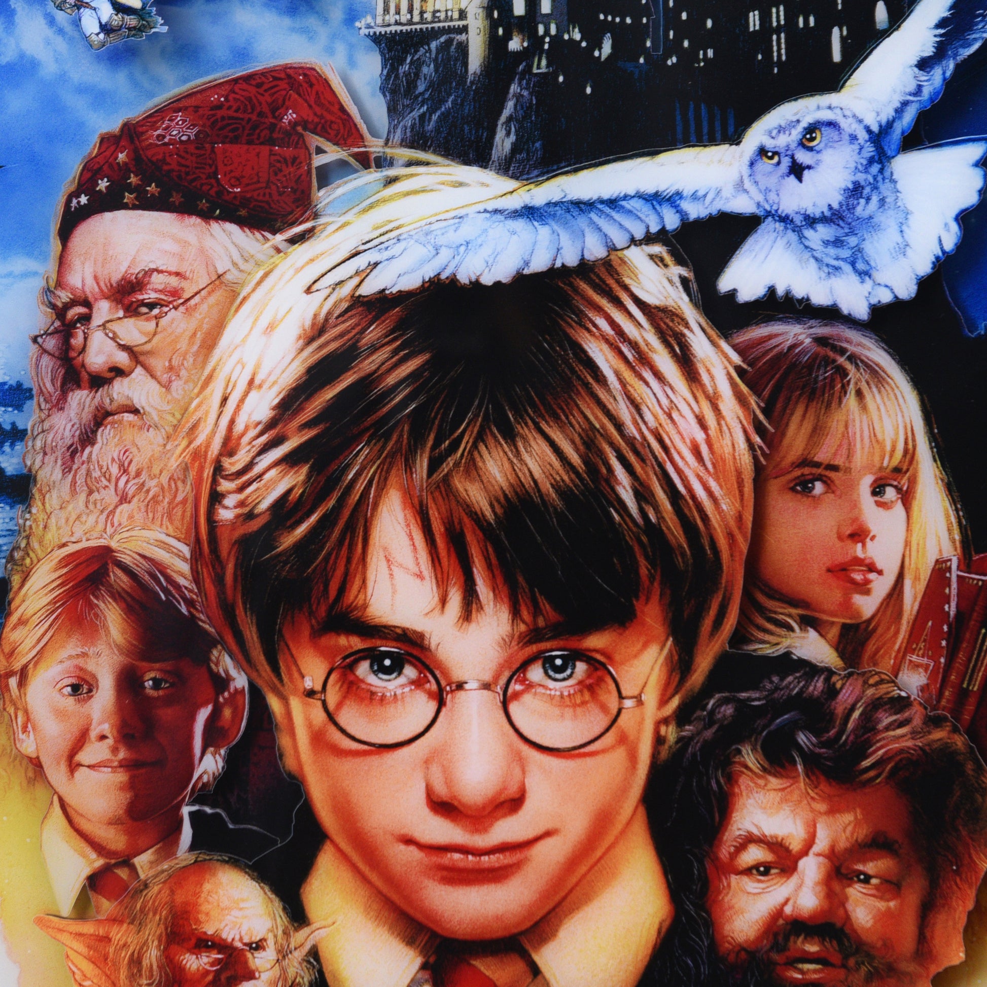 Drew Struzan "Harry Potter and the Sorcerer's Stone" Framed Acrylic Diorama