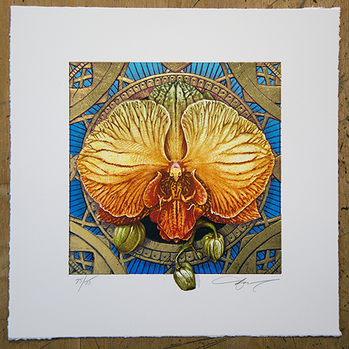 AJ Masthay "Phalaenopsis" Blue Background
