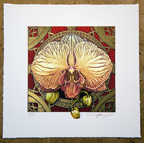 AJ Masthay "Phalaenopsis" Red Background