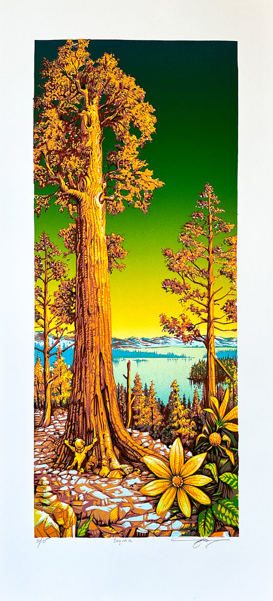 AJ Masthay "Sequoia" Golden Hour Edition
