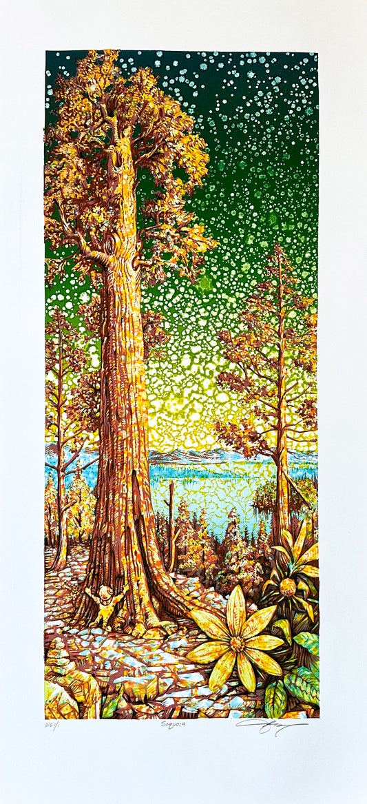 AJ Masthay "Sequoia" Golden Hour - Watercolor Variant