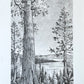 AJ Masthay "Sequoia" Graphite Drawing - OG
