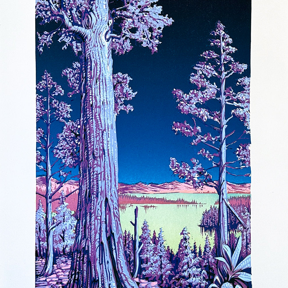 AJ Masthay "Sequoia" Moonlight Edition