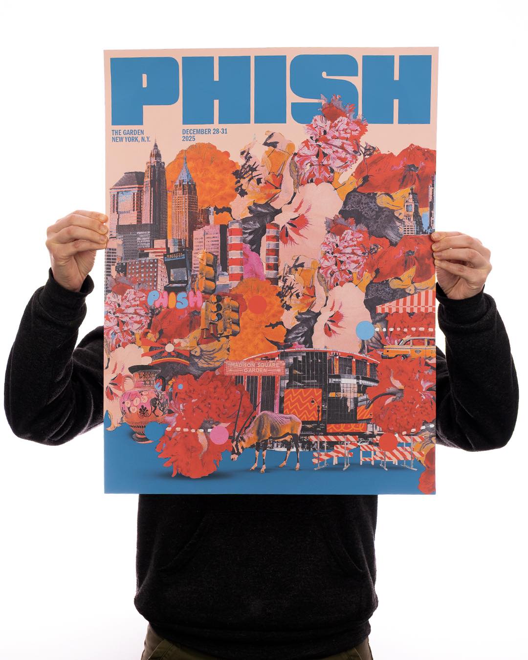 Phish @ MSG - Regular AP SET