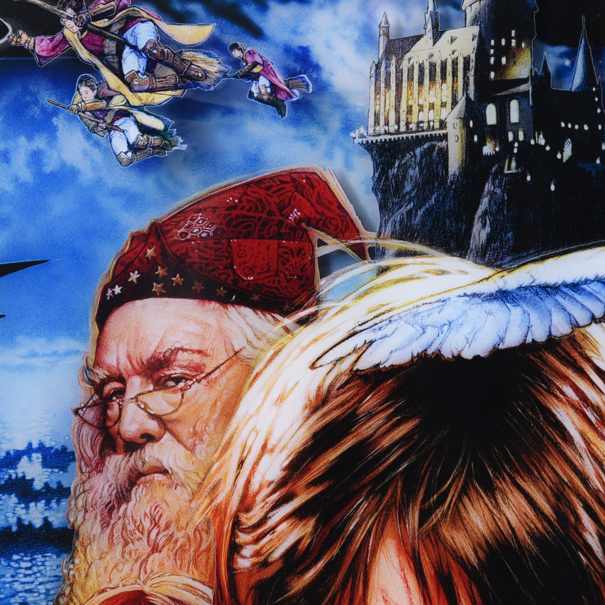 Drew Struzan "Harry Potter and the Sorcerer's Stone" Framed Acrylic Diorama