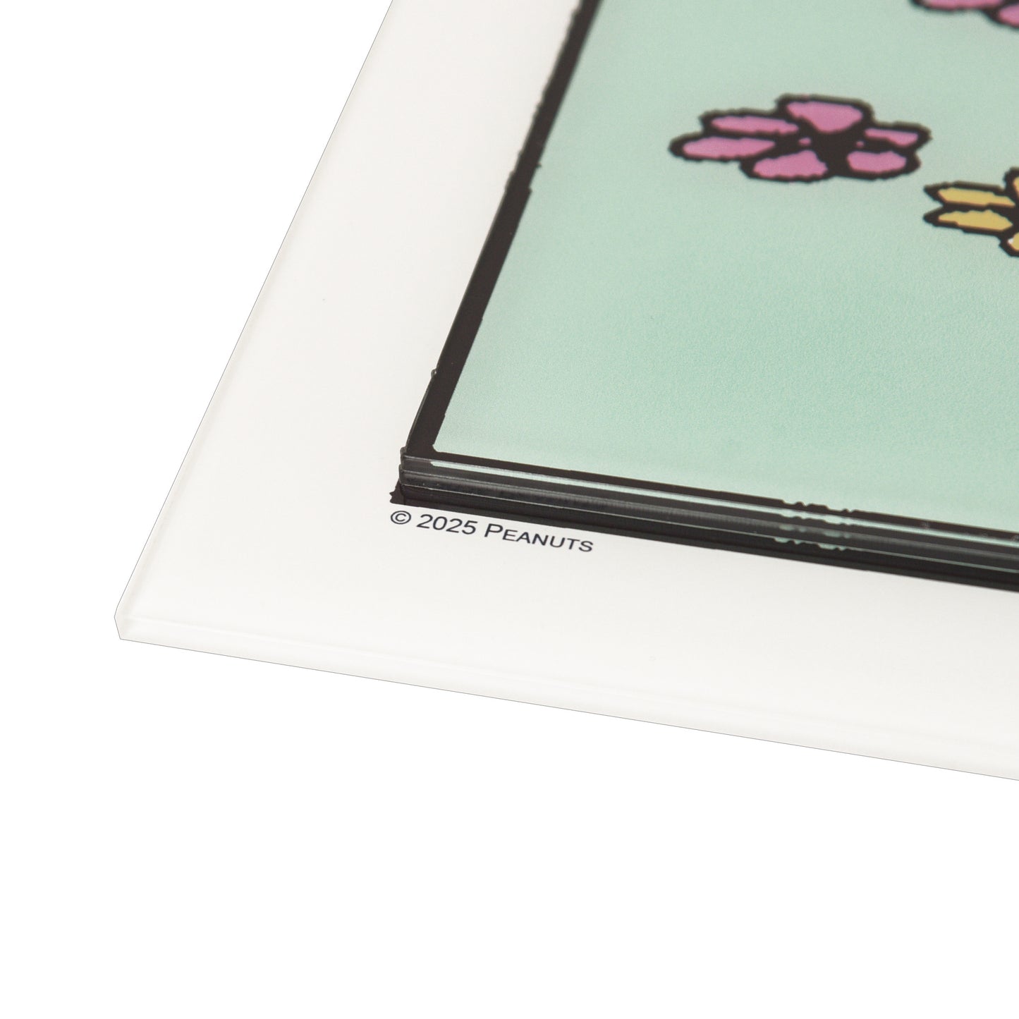 Charles M. Schulz "A Boy and His Dog" Multi-Layer Acrylic