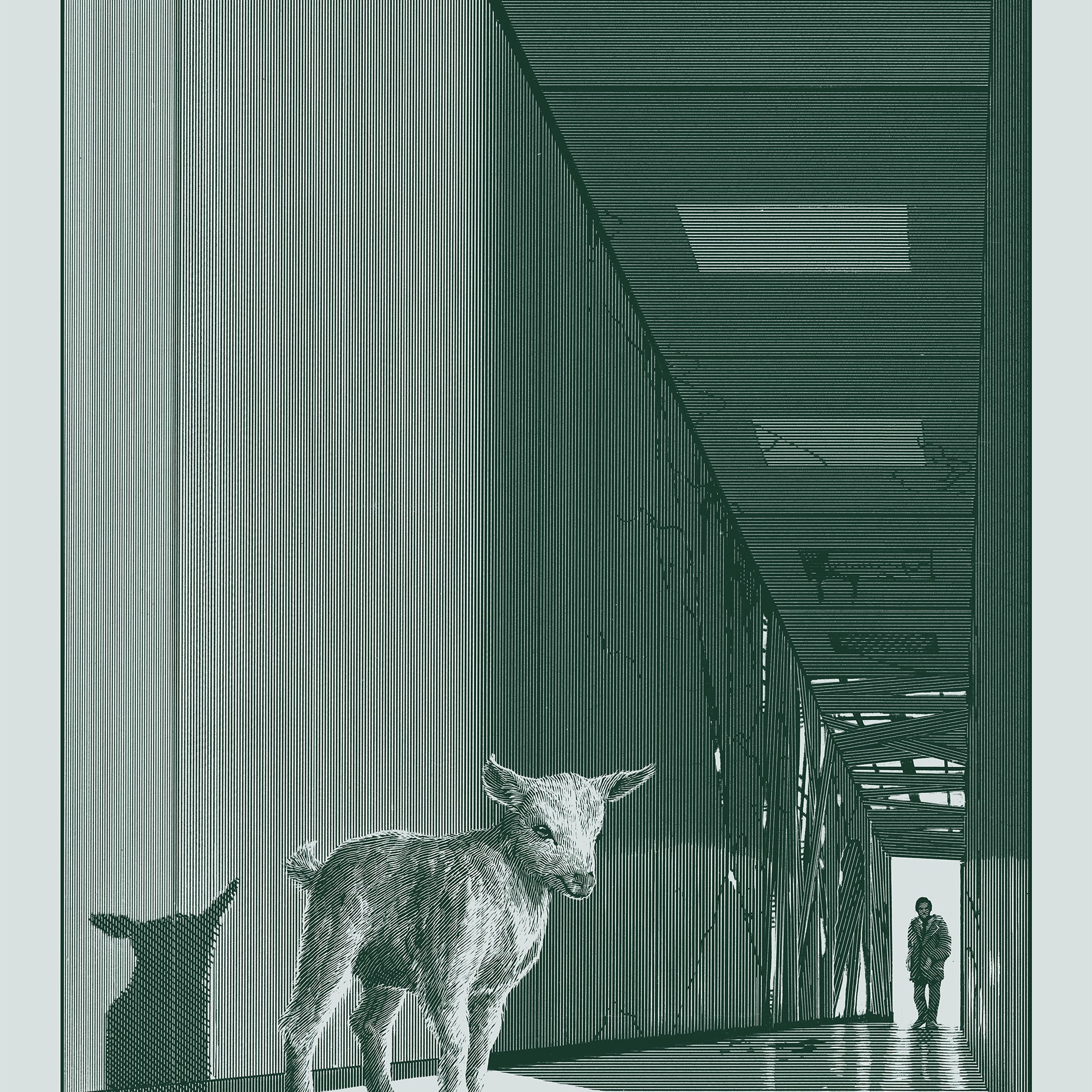 Calvin Laituri "They're Not Ready"