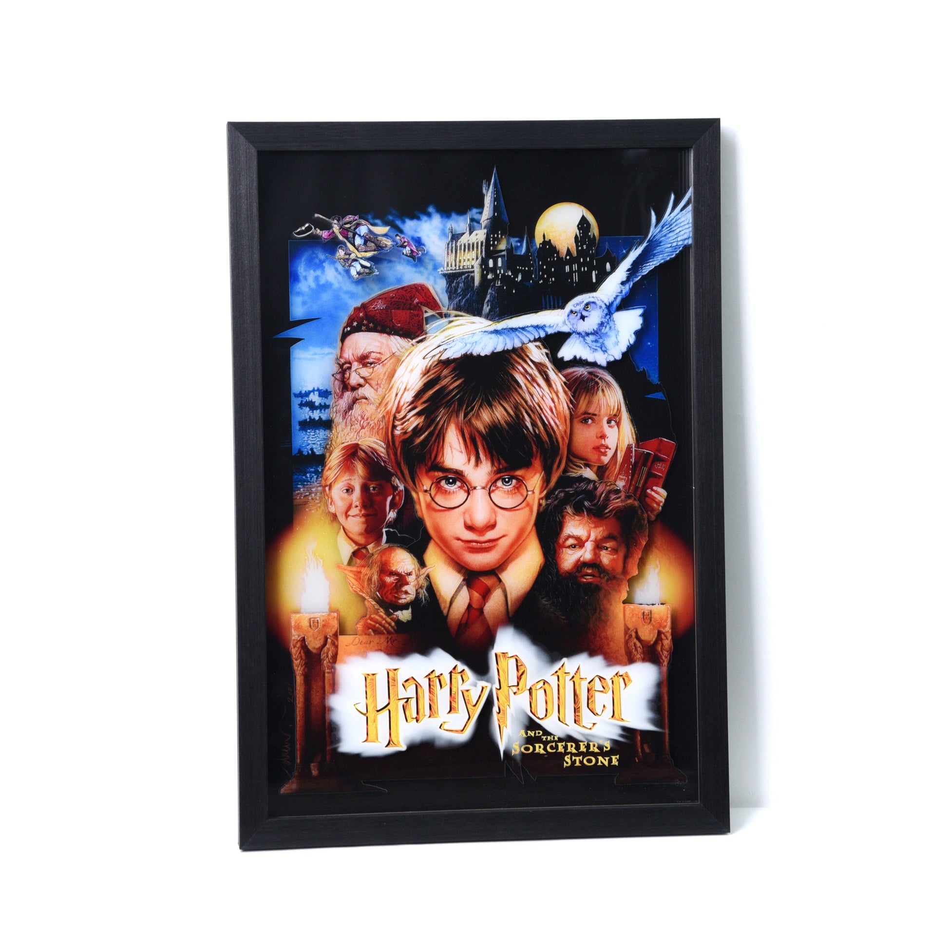 Drew Struzan "Harry Potter and the Sorcerer's Stone" Framed Acrylic Diorama