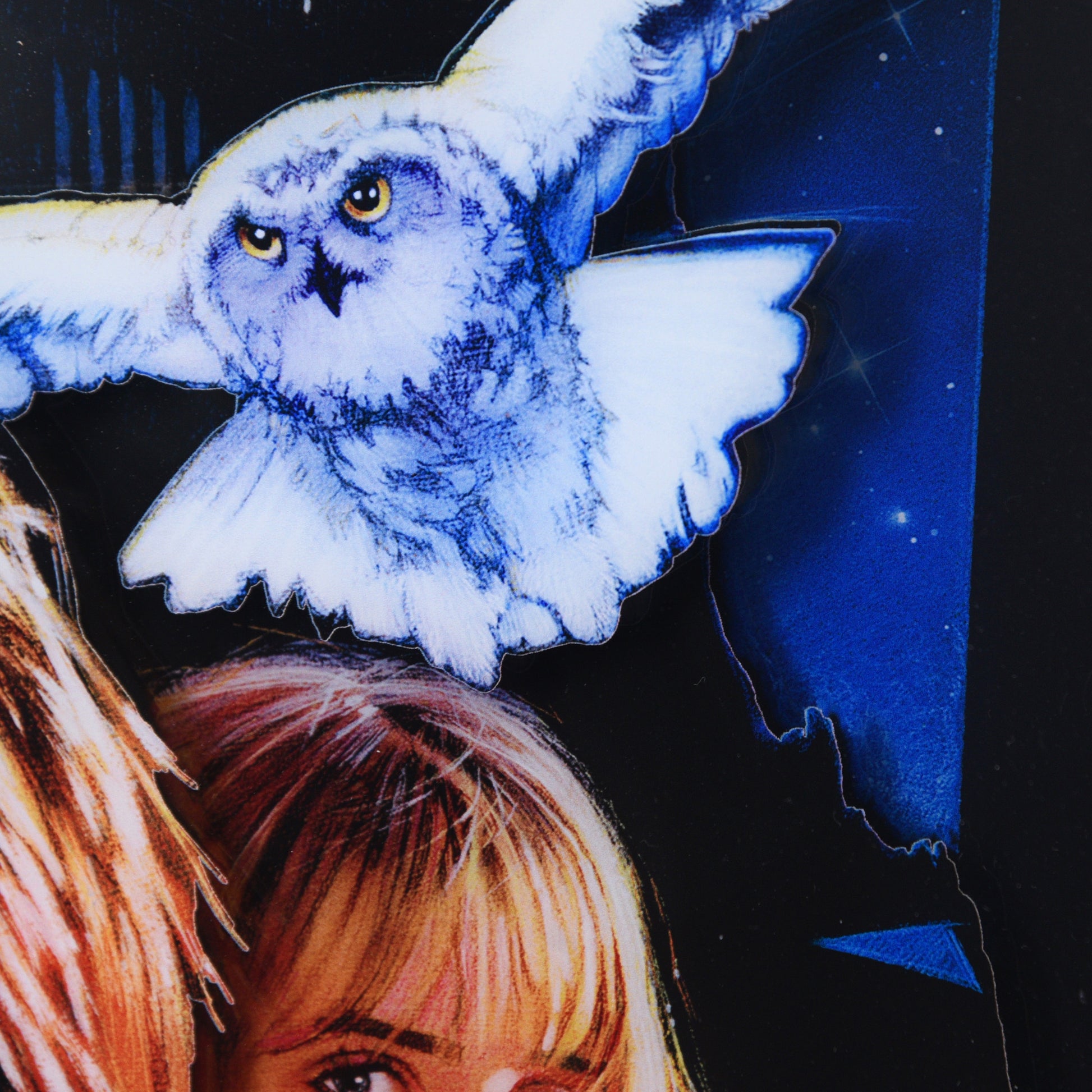 Drew Struzan "Harry Potter and the Sorcerer's Stone" Framed Acrylic Diorama
