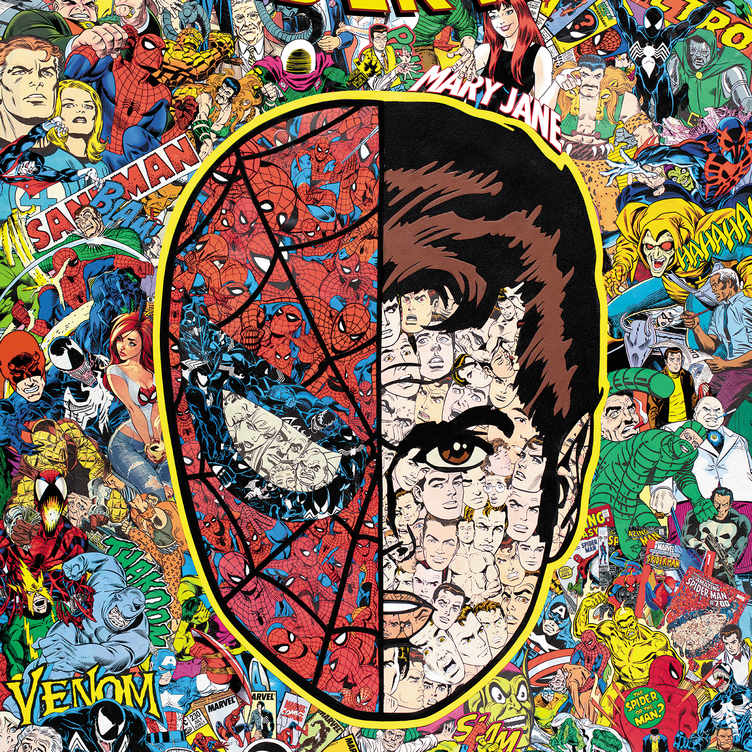 Mr Garcin "The Amazing Spider-Man #1000"