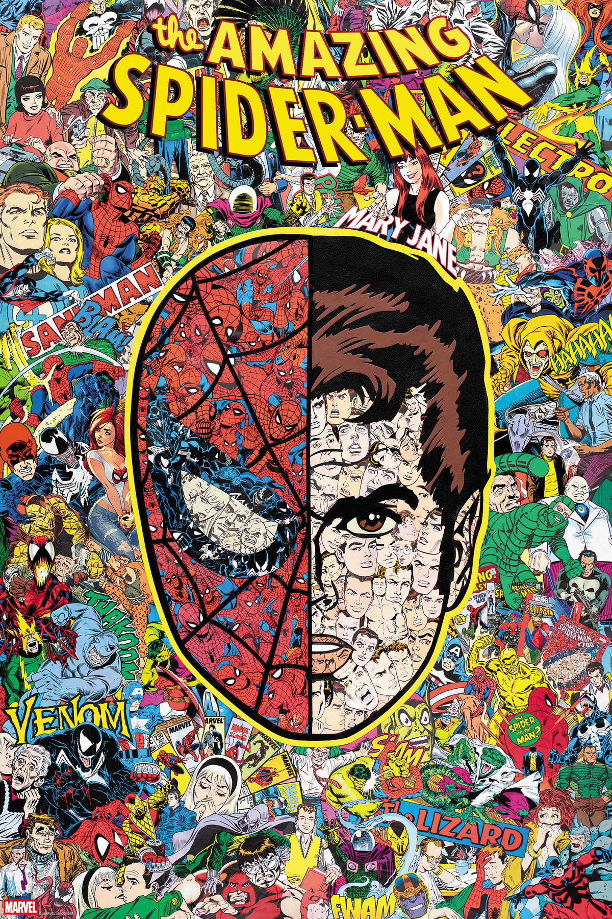 Mr Garcin "The Amazing Spider-Man #1000"