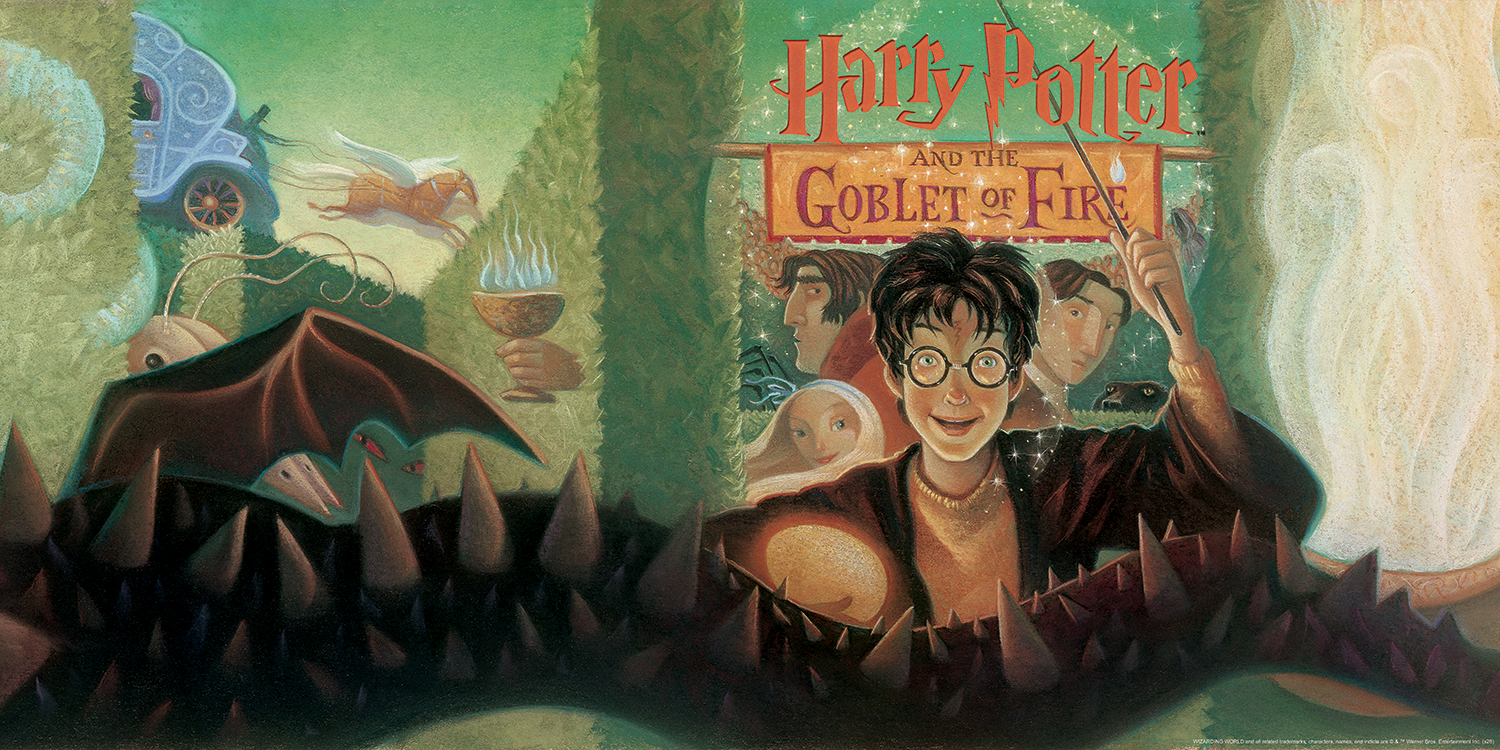 Harry Potter and the Goblet of Fire - Acrylic Panel Print