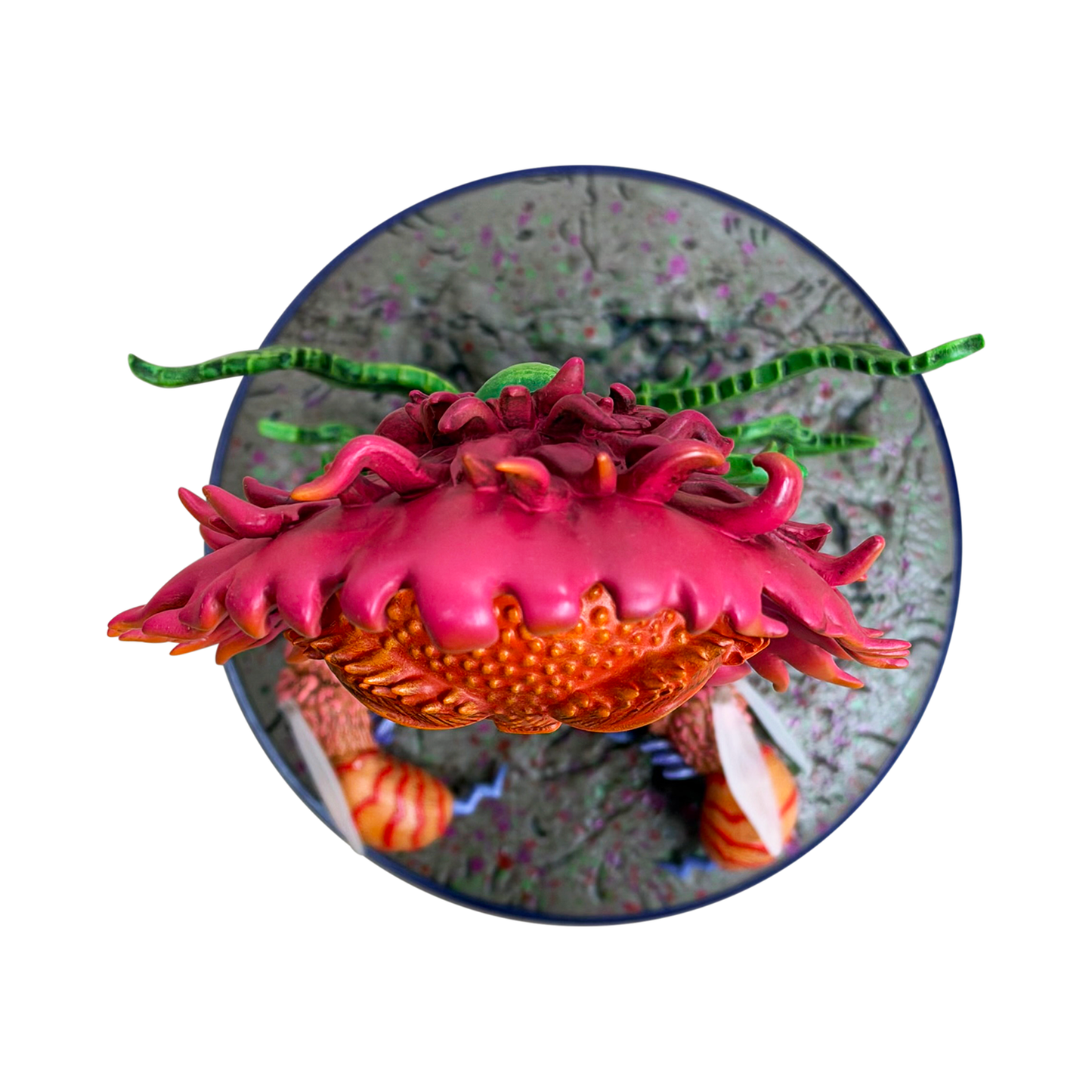 Marq Spusta "Frustrated Flower"