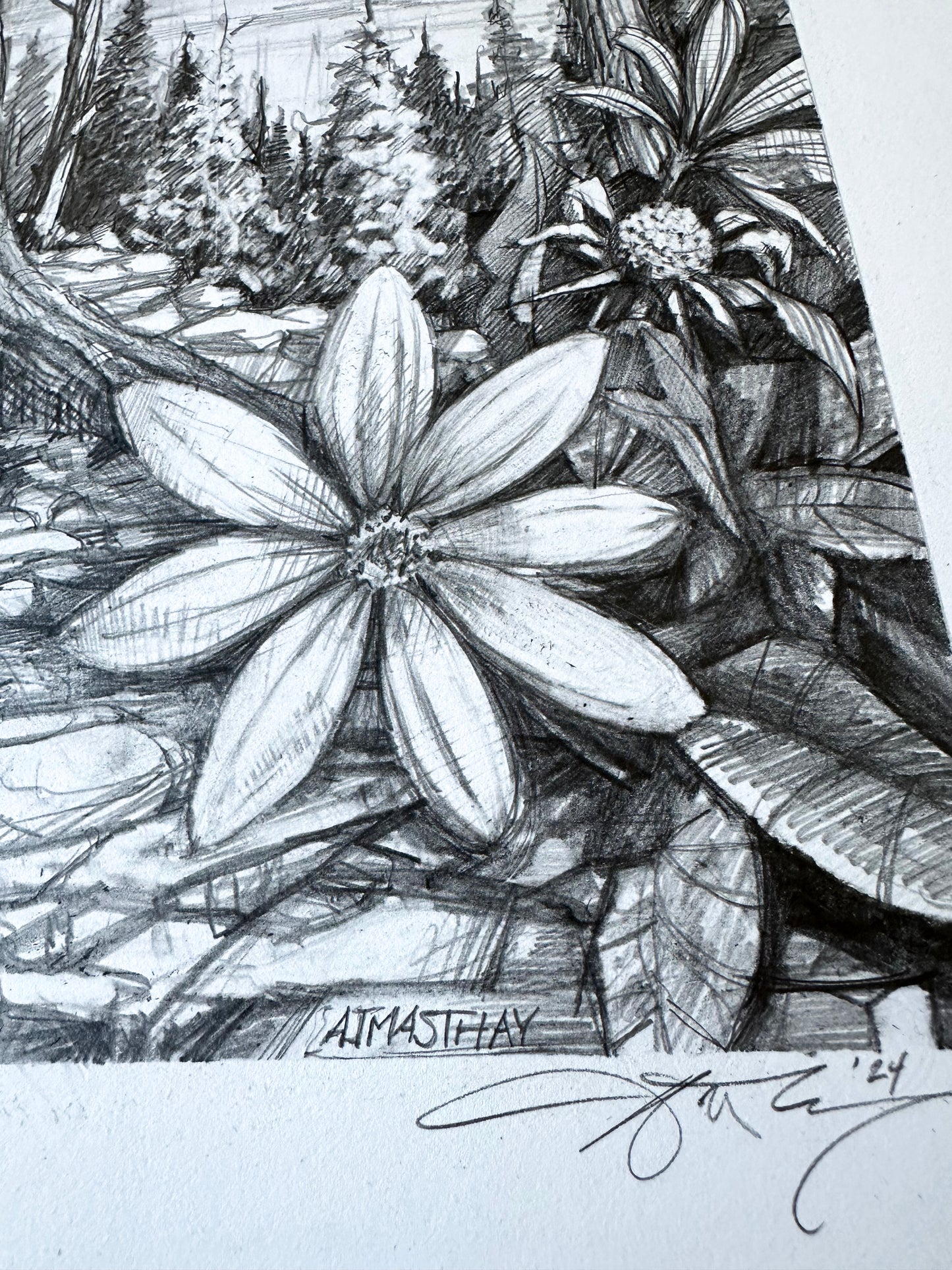 AJ Masthay "Sequoia" Graphite Drawing - OG