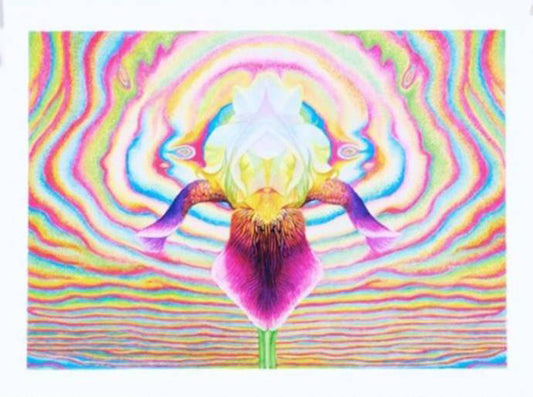 Shang Chengxiang "Borderline Flower 1"