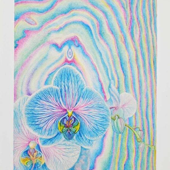 Shang Chengxiang "Borderline Flower 2"