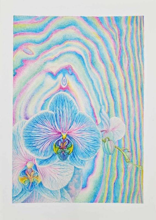 Shang Chengxiang "Borderline Flower 2"