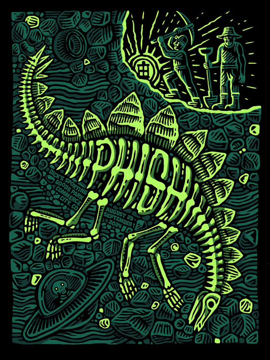 Johnny Greenteeth "Phish @ Dick's Sporting Goods Park" AP