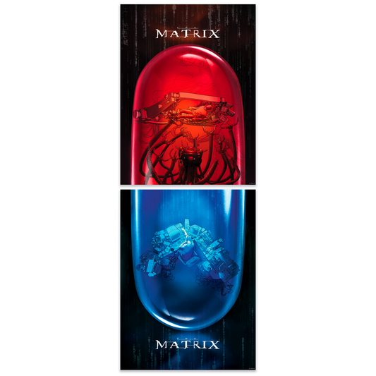 Edgar Ascensão "The Matrix" Acrylic Panel Print SET