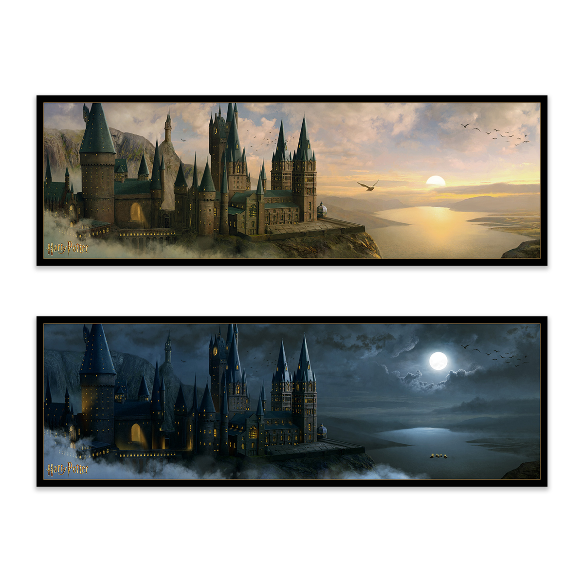 Pablo Olivera "Hogwarts" SET