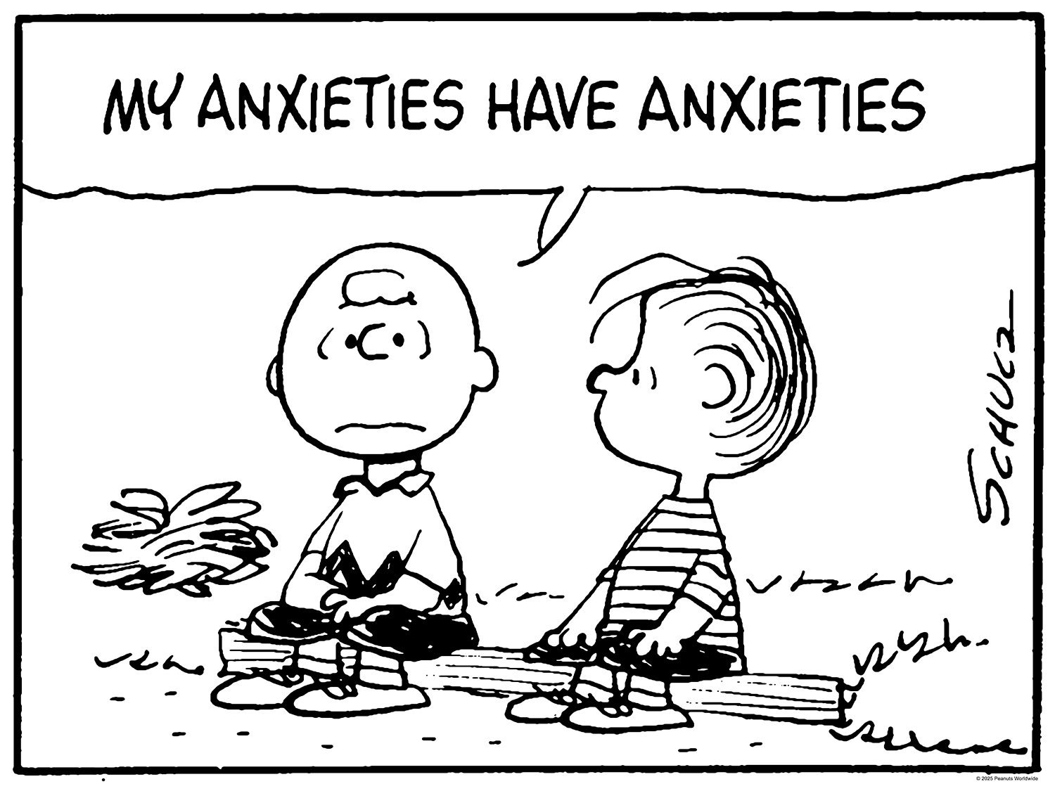 Charles M Schulz My Anxieties Have Anxieties Bottleneck Gallery