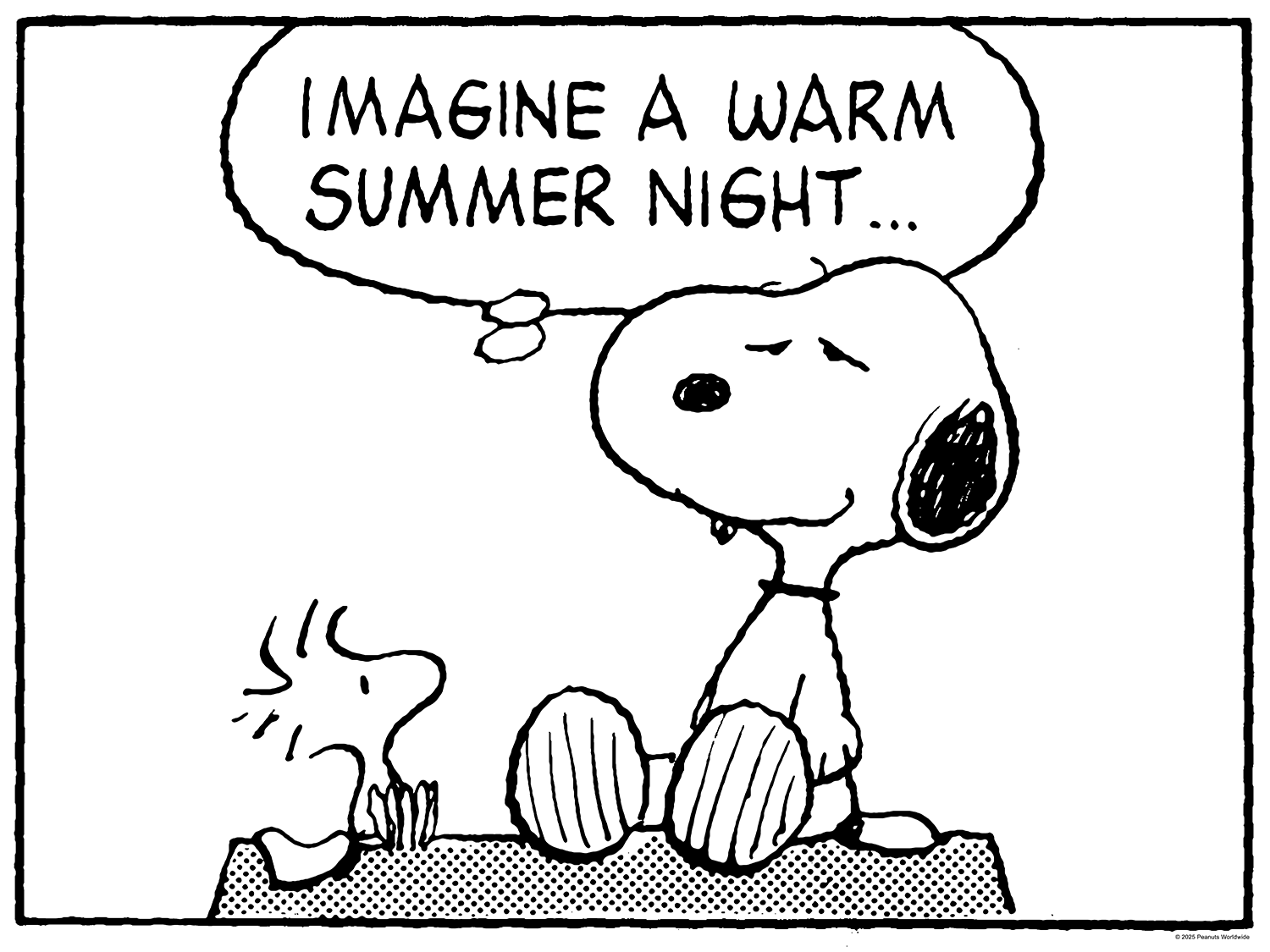 Charles M. Schulz "Warm Summer Night"