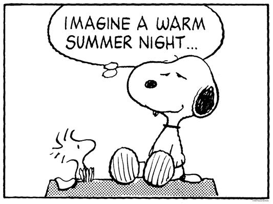 Charles M. Schulz "Warm Summer Night"