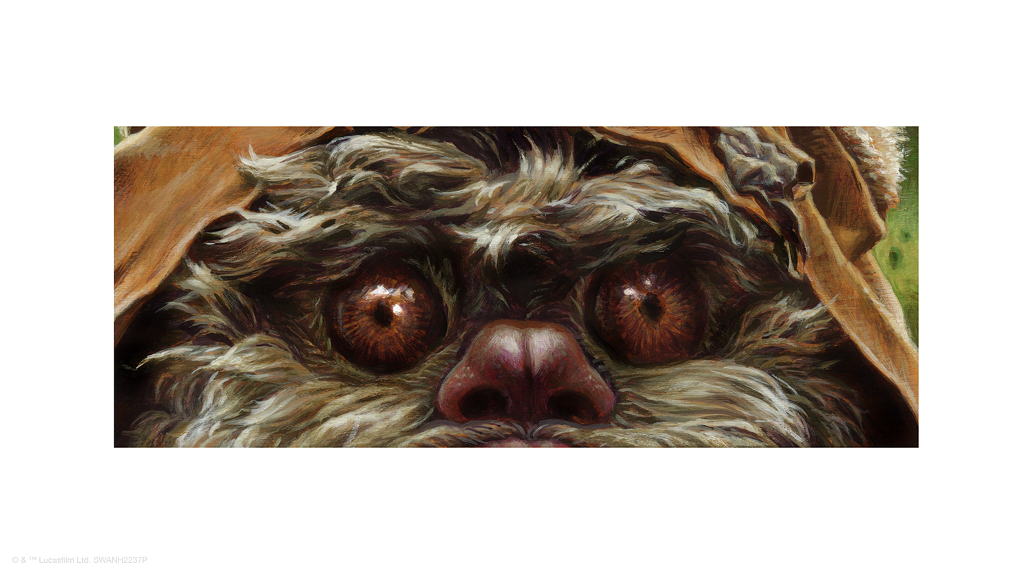 Jason Edmiston "Wicket"