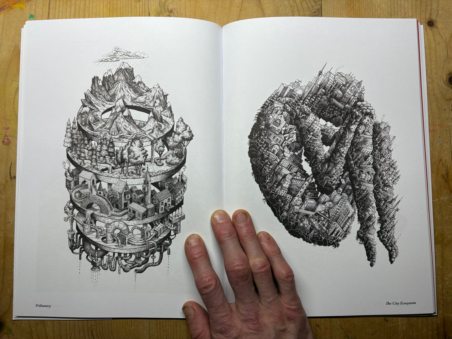 Phlegm "A Cycle of VIolence" Book