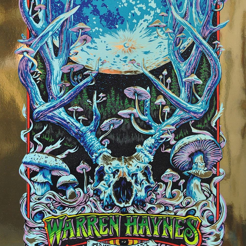 AJ Masthay "Warren Haynes - Spring 2016" Gold Foil
