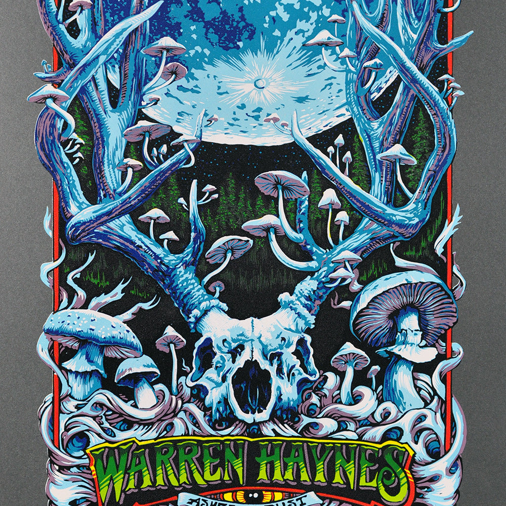 AJ Masthay "Warren Haynes - Spring 2016" AE Black Onyx