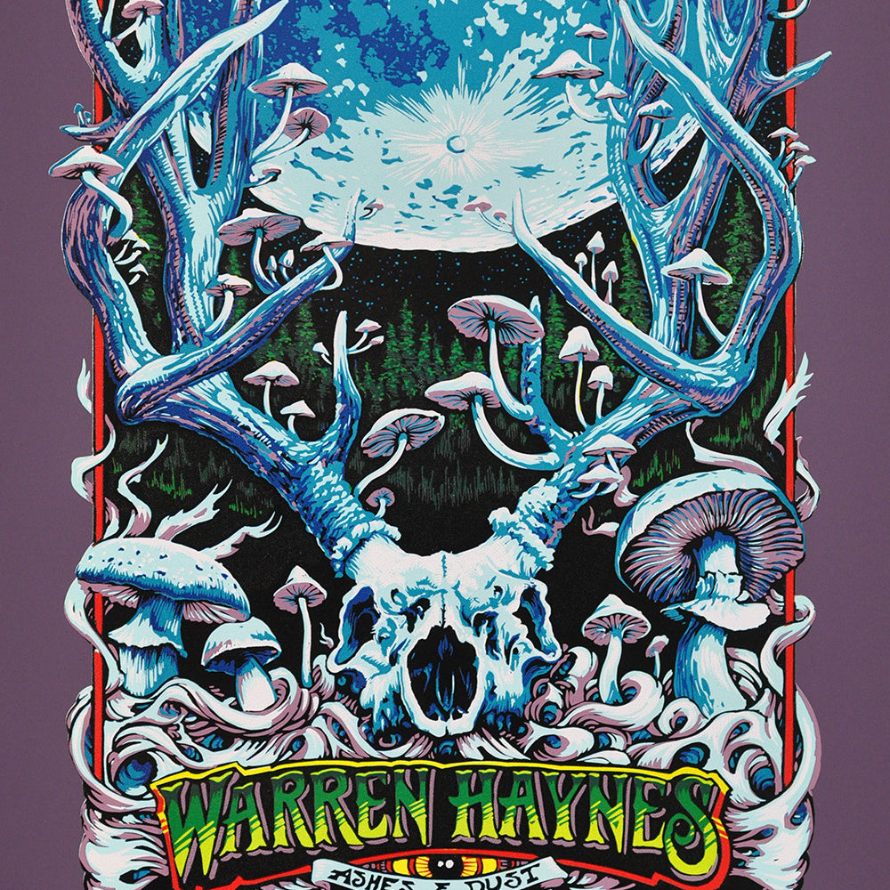 AJ Masthay "Warren Haynes - Spring 2016" Purple Plike