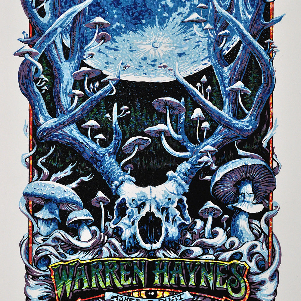 AJ Masthay "Warren Haynes - Spring 2016" Watercolor