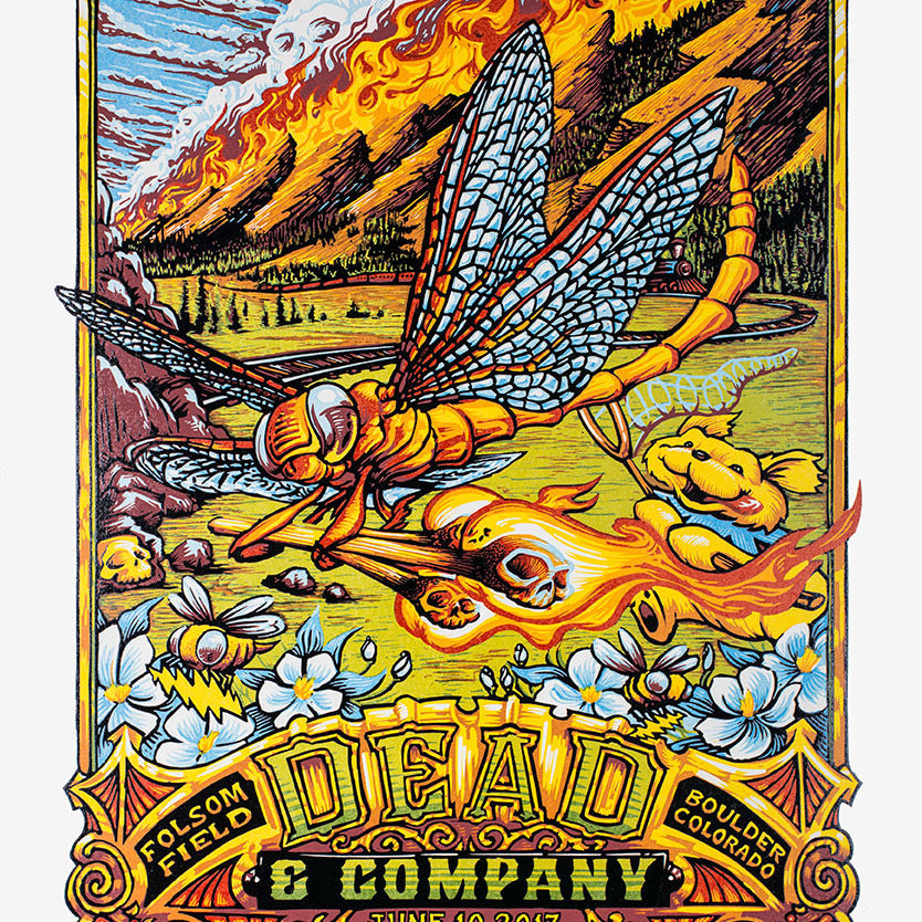 AJ Masthay "Dead & Co - Fire on the Mountain"