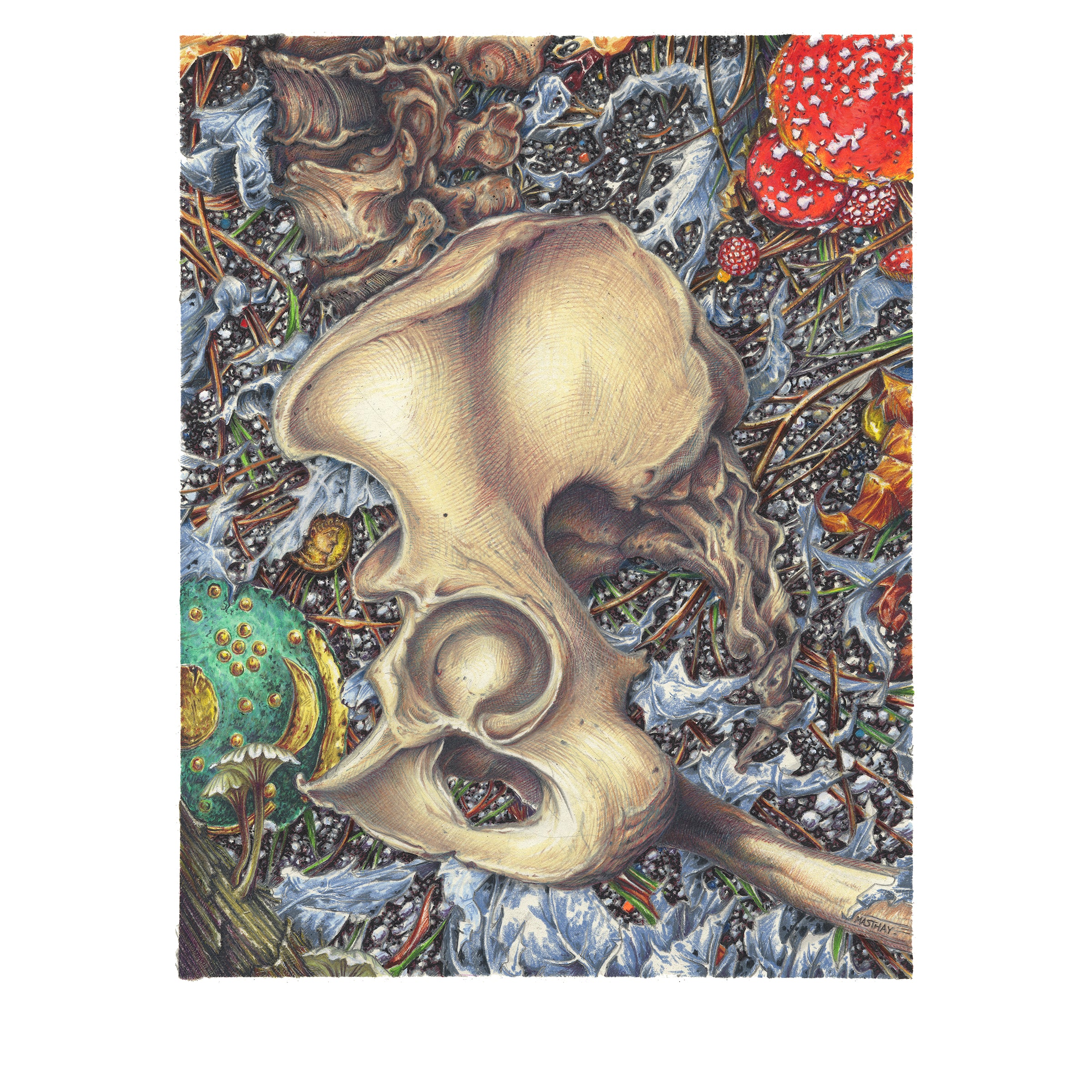AJ Masthay "The Jewelry Box"