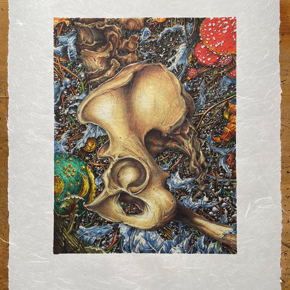 AJ Masthay "The Jewelry Box" Unryu Variant