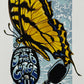 AJ Masthay "Gorge Butterfly" - Framed