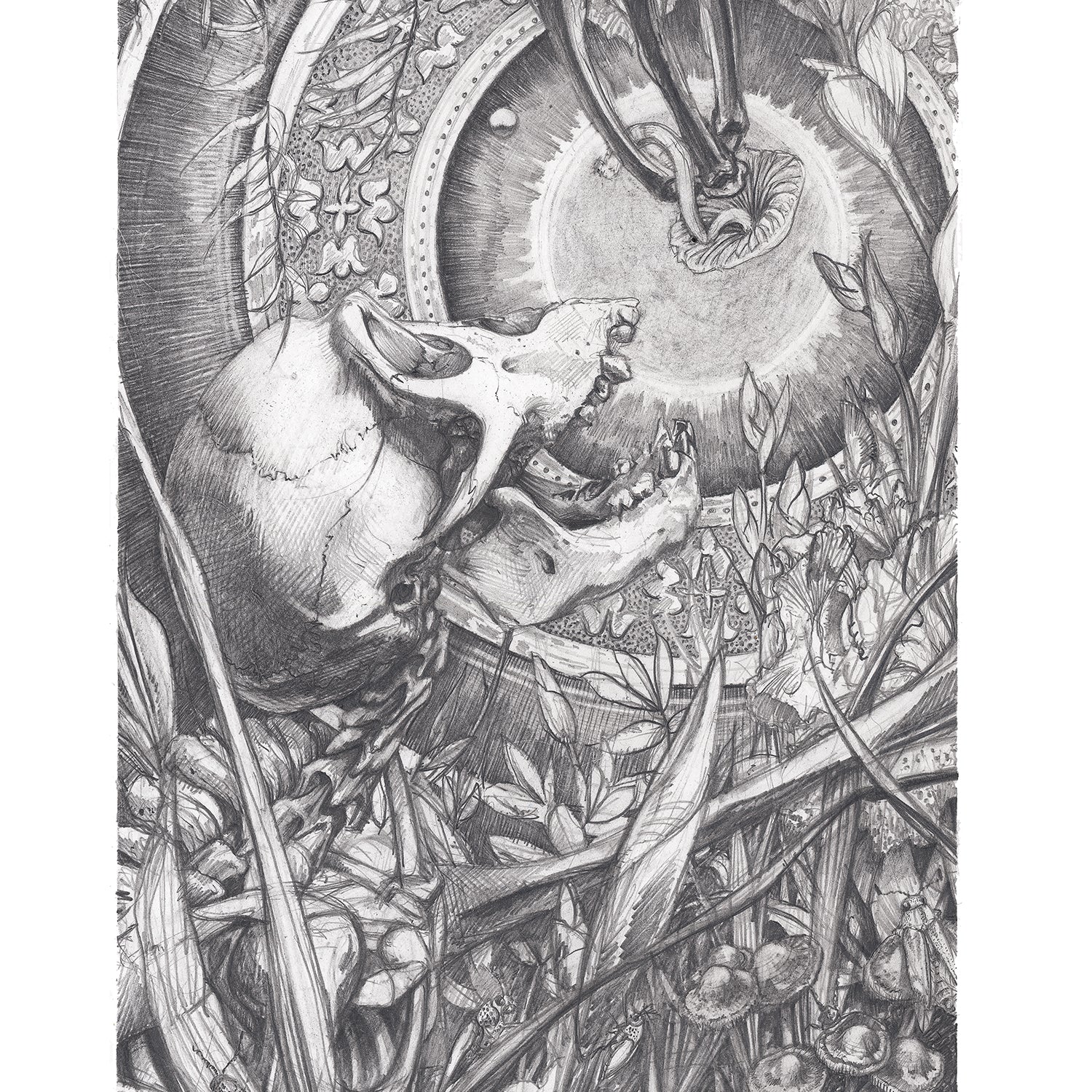 AJ Masthay "Origins" Graphite Variant