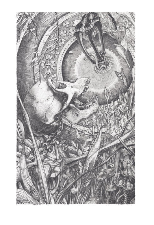 AJ Masthay "Origins" Graphite Variant