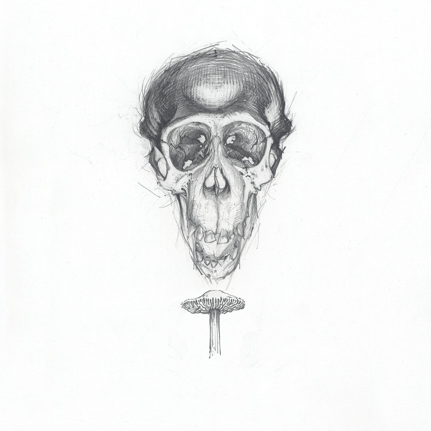 AJ Masthay "Stoned Ape Theory" Graphite OG
