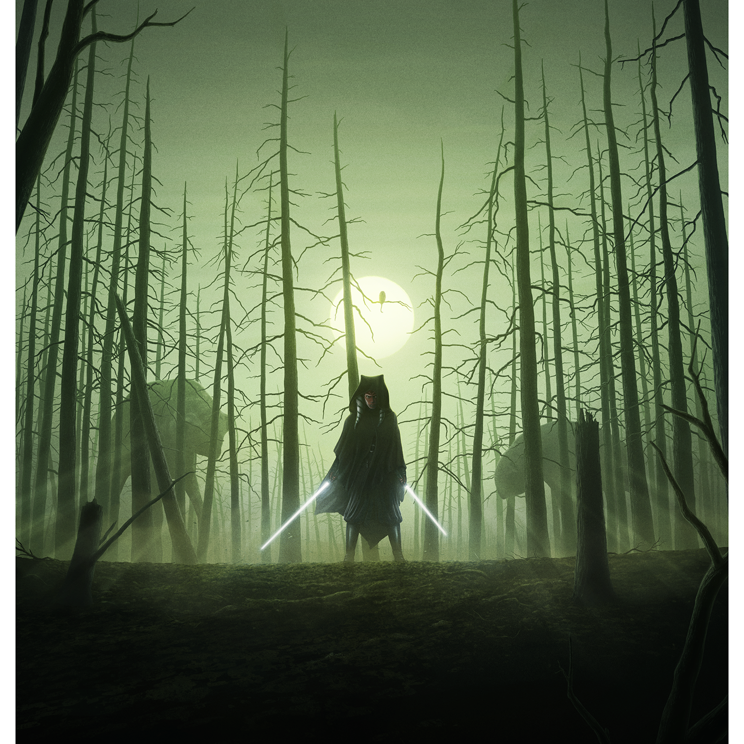 Marko Manev "Ahsoka"