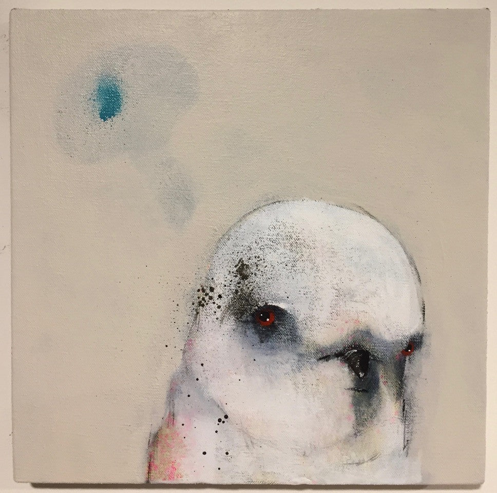 Sweler "Bird Finger #4"
