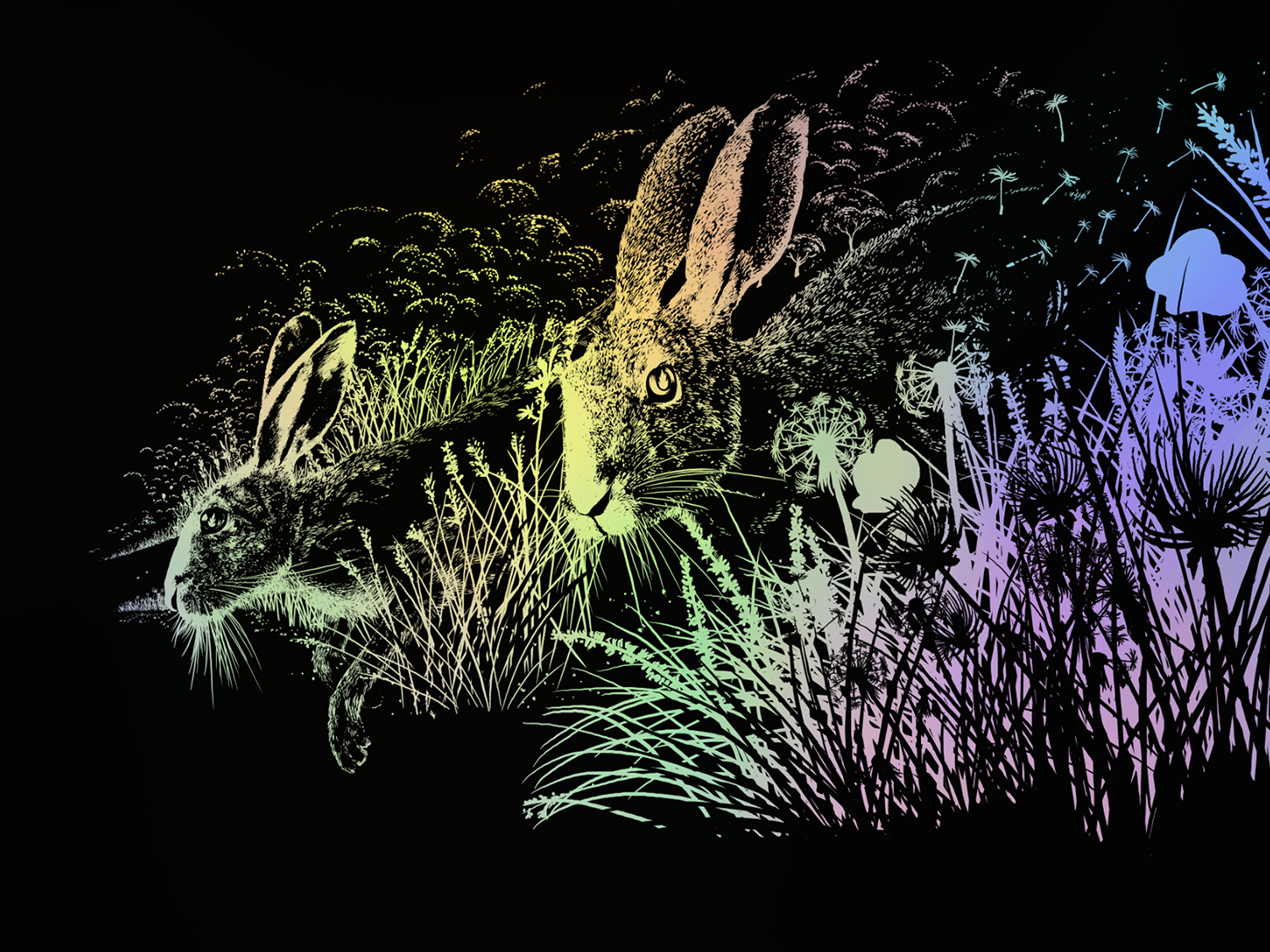Raid71 "Watership Down" Rainbow Foil Edition