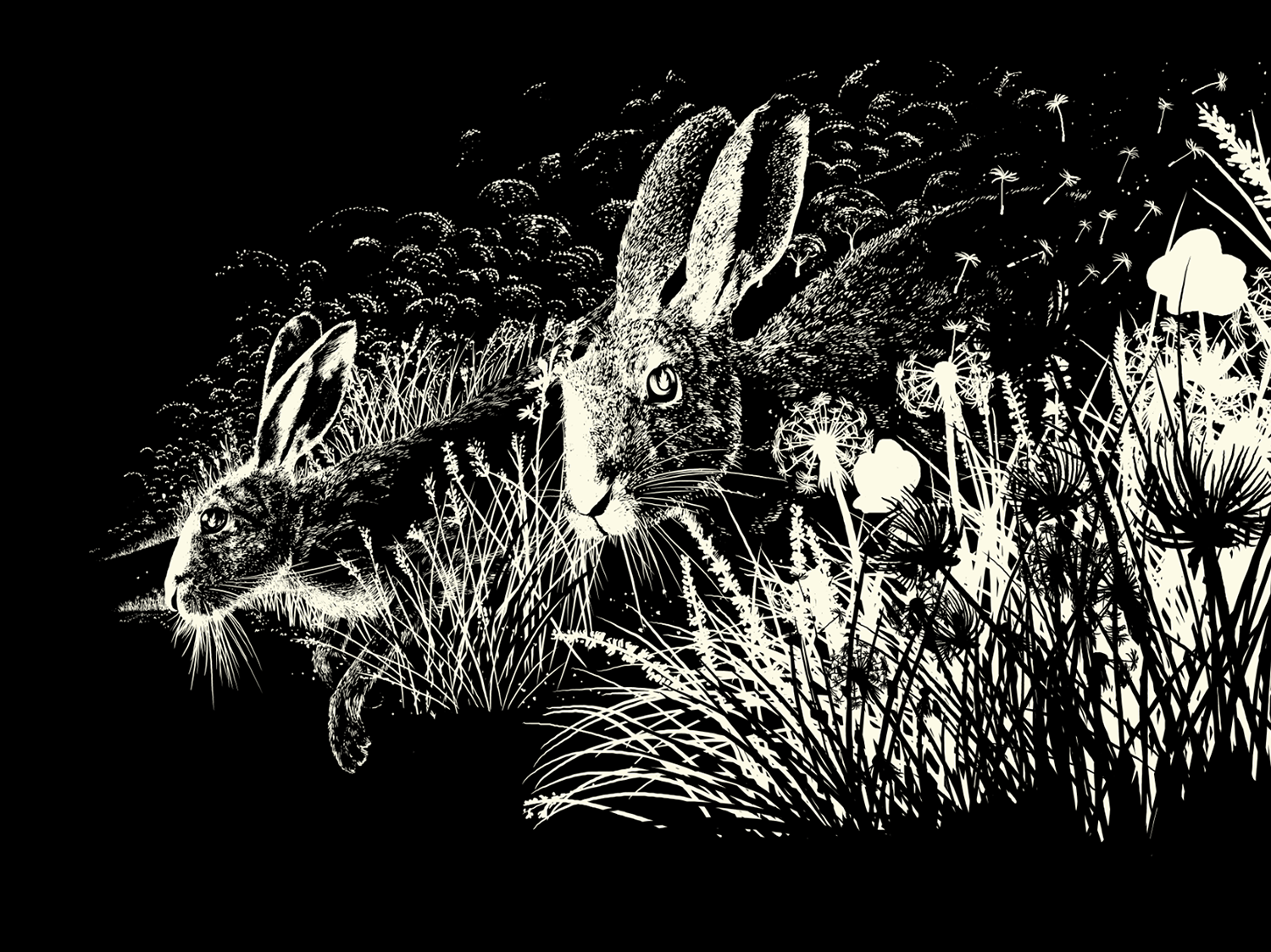 Raid71 "Watership Down"